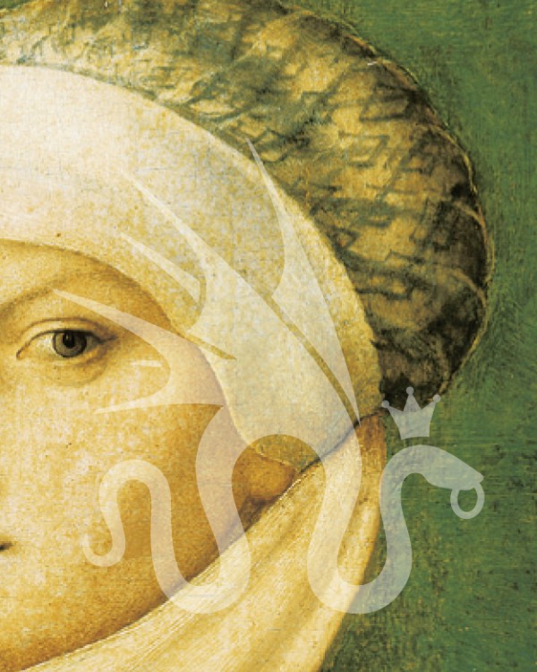 Wege zu Cranach